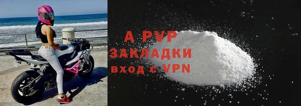 прущие грибы Касимов