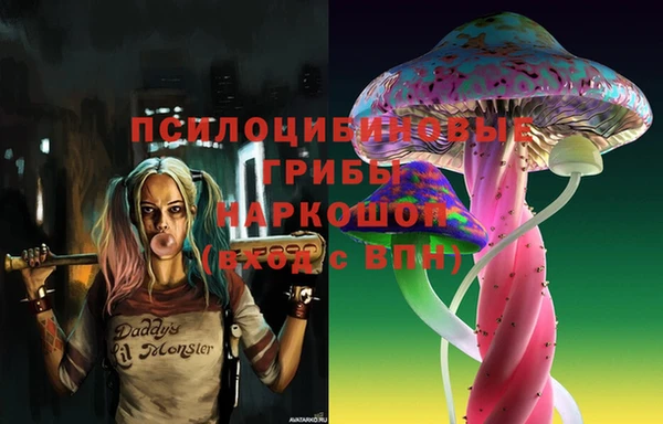 мескалин Каменногорск