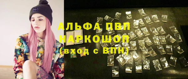 a pvp Каменка