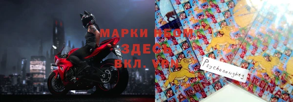 прущие грибы Касимов